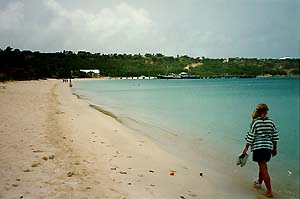 [IMG = One of the beautiful beaches of Anguilla]